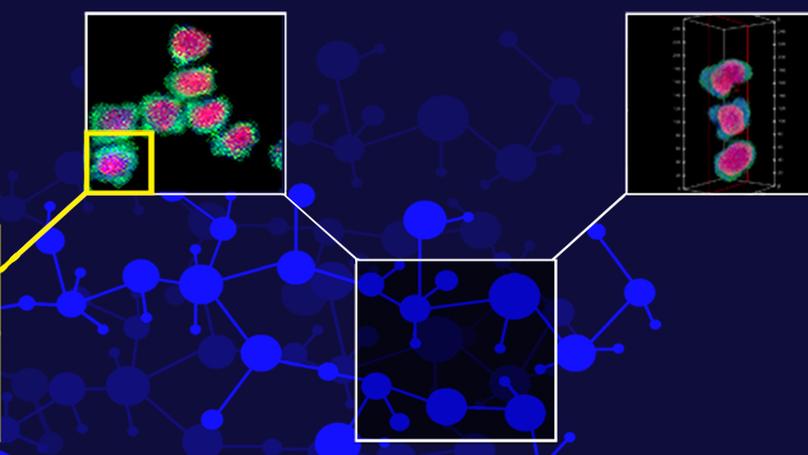 Deep learning STEM-EDX tomography of nanocrystals